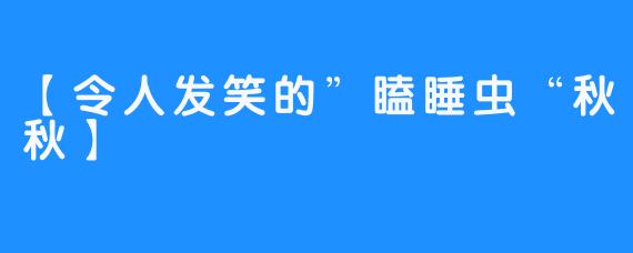 【令人发笑的”瞌睡虫“秋秋】