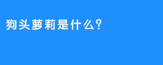 狗头萝莉是什么？