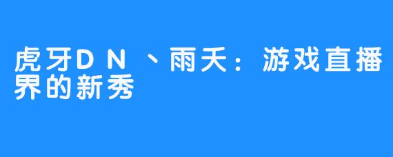 虎牙DN丶雨夭:游戏直播界的新秀