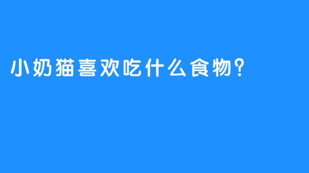 小奶猫喜欢吃什么食物？