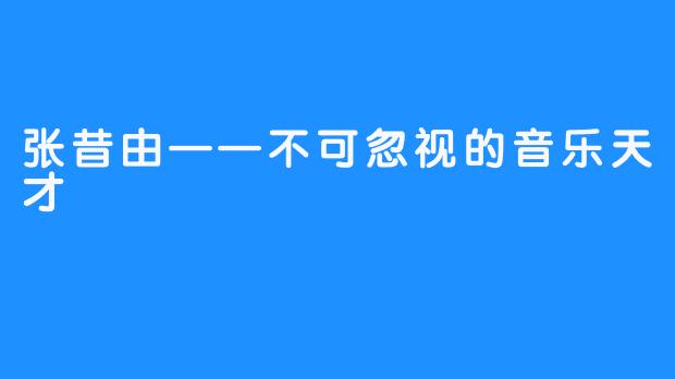 张昔由——不可忽视的音乐天才