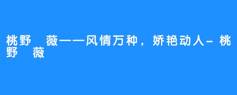 桃野薔薇——风情万种,娇艳动人-桃野薔薇