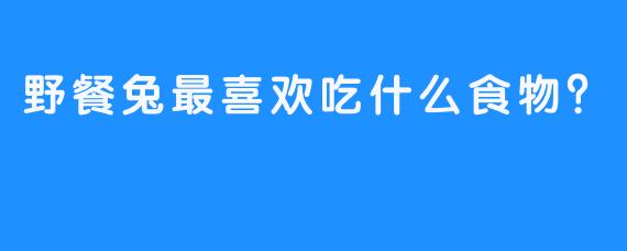 野餐兔最喜欢吃什么食物？