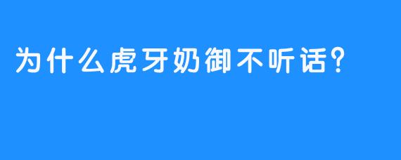 为什么虎牙奶御不听话？