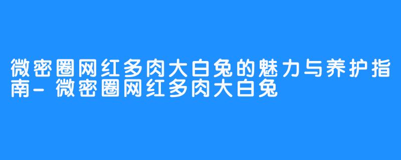 微密圈网红多肉大白兔的魅力与养护指南-微密圈网红多肉大白兔