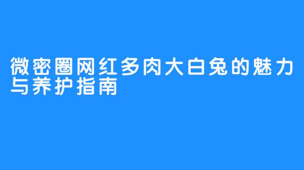 微密圈网红多肉大白兔的魅力与养护指南