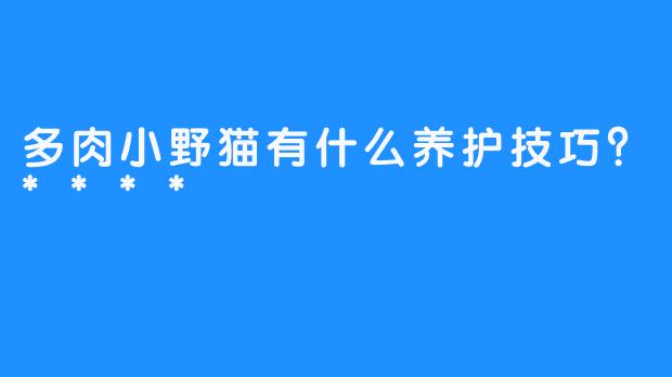 多肉小野猫有什么养护技巧？****