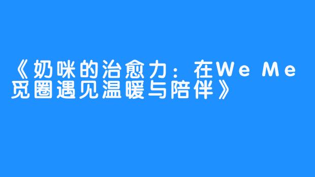 《奶咪的治愈力:在WeMe觅圈遇见温暖与陪伴》