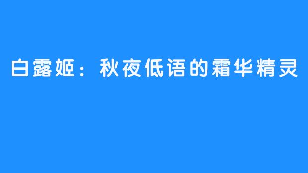 白露姬:秋夜低语的霜华精灵