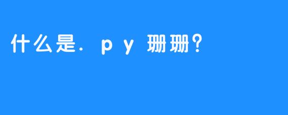 什么是.py珊珊？