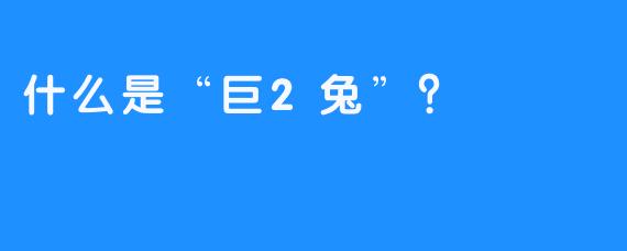 什么是“巨2兔”？