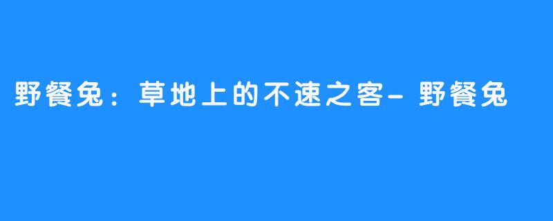 野餐兔：草地上的不速之客-野餐兔