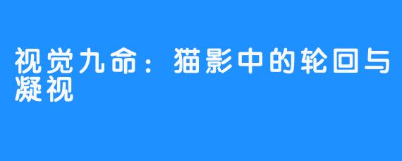 视觉九命:猫影中的轮回与凝视