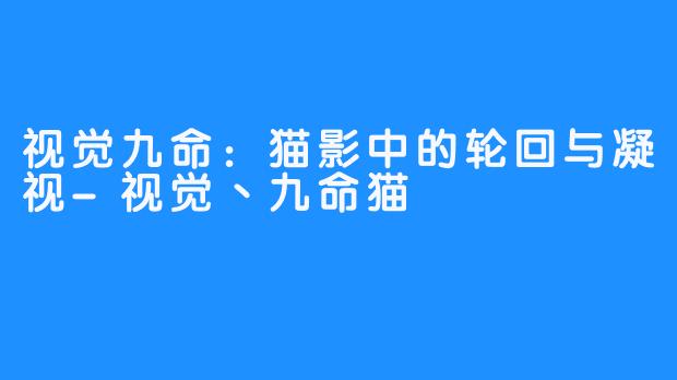 视觉九命:猫影中的轮回与凝视-视觉丶九命猫