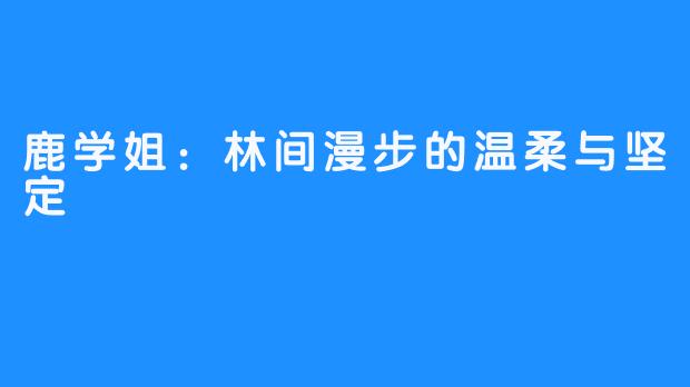 鹿学姐：林间漫步的温柔与坚定