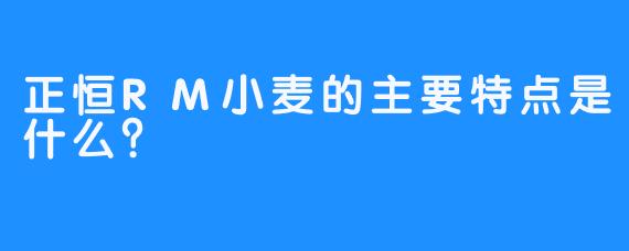 正恒RM小麦的主要特点是什么？