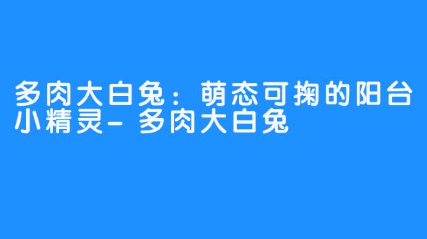 多肉大白兔:萌态可掬的阳台小精灵-多肉大白兔