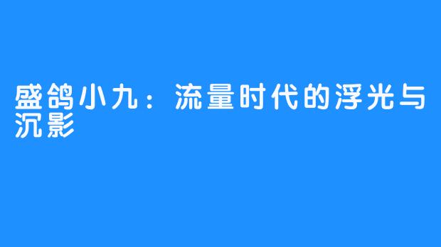 盛鸽小九:流量时代的浮光与沉影