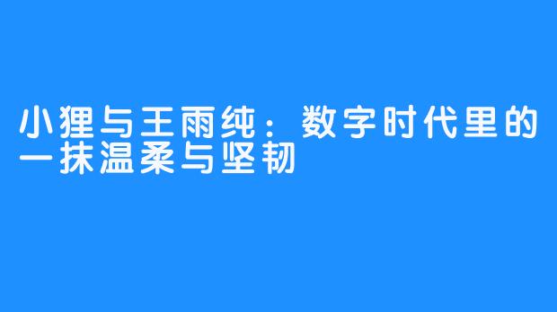 小狸与王雨纯：数字时代里的一抹温柔与坚韧